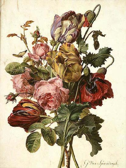 Gerard van Spaendonck Bouquet of Tulips, Roses and an Opium Poppy, with a Pale Clouded Yellow Butterfly, a Red Longhorn Beetle and a Sevenspotted Ladybug oil painting image
